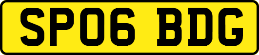 SP06BDG