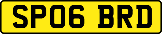 SP06BRD