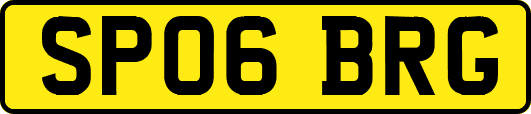 SP06BRG