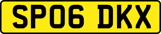 SP06DKX