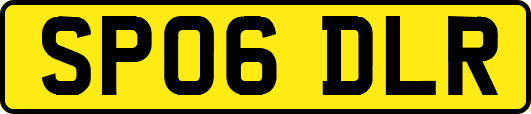 SP06DLR