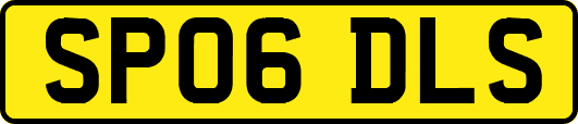 SP06DLS
