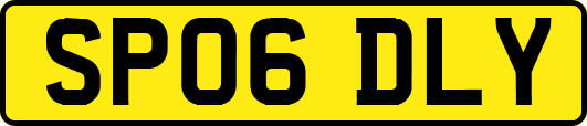 SP06DLY