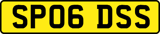 SP06DSS