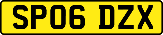 SP06DZX