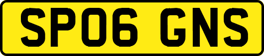 SP06GNS