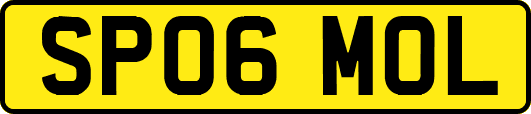 SP06MOL