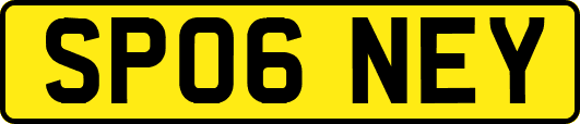 SP06NEY