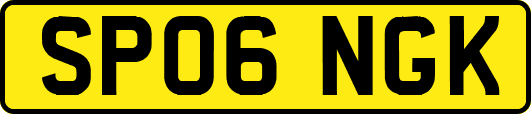 SP06NGK