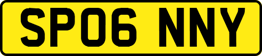 SP06NNY