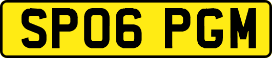 SP06PGM