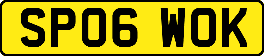 SP06WOK