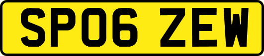 SP06ZEW