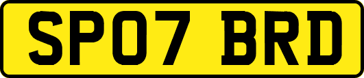 SP07BRD