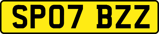 SP07BZZ