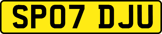 SP07DJU