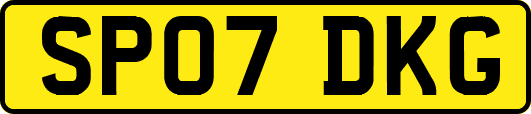 SP07DKG