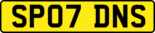 SP07DNS