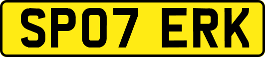 SP07ERK