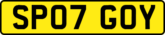 SP07GOY