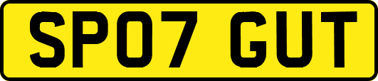 SP07GUT