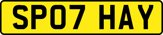SP07HAY