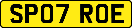 SP07ROE