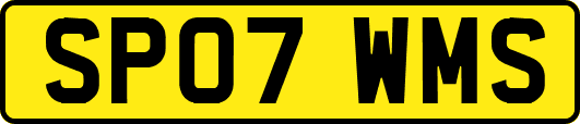 SP07WMS