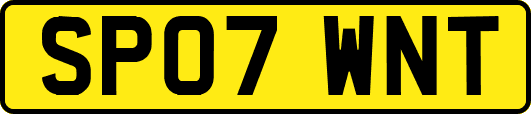 SP07WNT