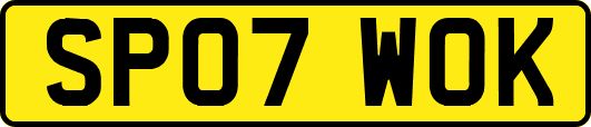 SP07WOK