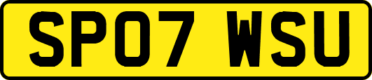 SP07WSU