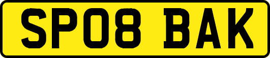 SP08BAK
