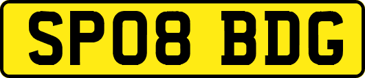 SP08BDG