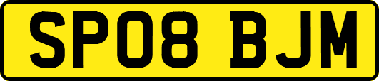 SP08BJM