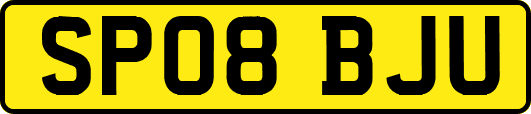 SP08BJU
