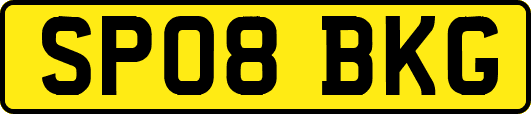 SP08BKG