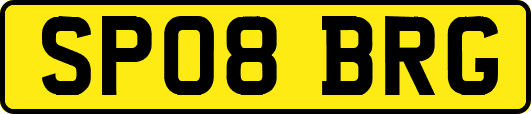 SP08BRG