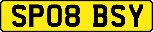 SP08BSY