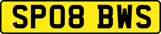 SP08BWS