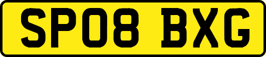 SP08BXG