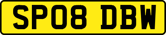 SP08DBW