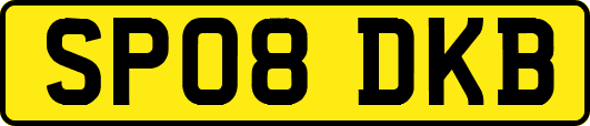 SP08DKB