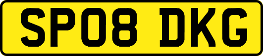 SP08DKG