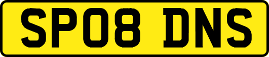 SP08DNS