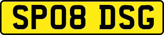 SP08DSG
