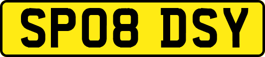 SP08DSY