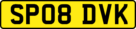 SP08DVK