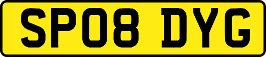 SP08DYG