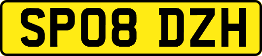 SP08DZH