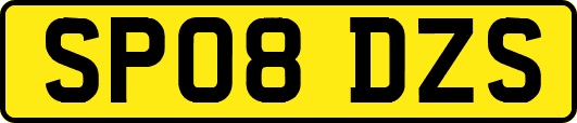 SP08DZS